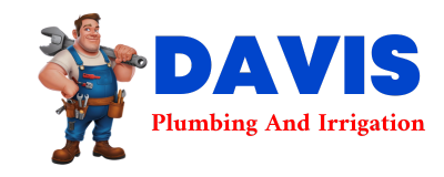 Trusted plumber in CROFTON